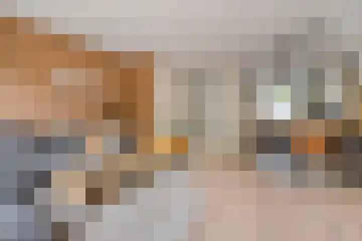 Dingshoflaan 84 Zwolle thumbnail 5