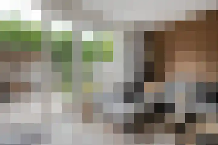 Dingshoflaan 84 Zwolle thumbnail 6