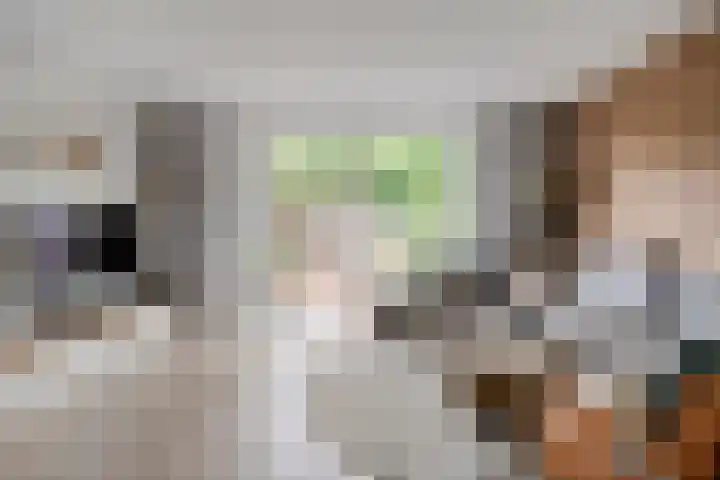 Dingshoflaan 84 Zwolle thumbnail 7