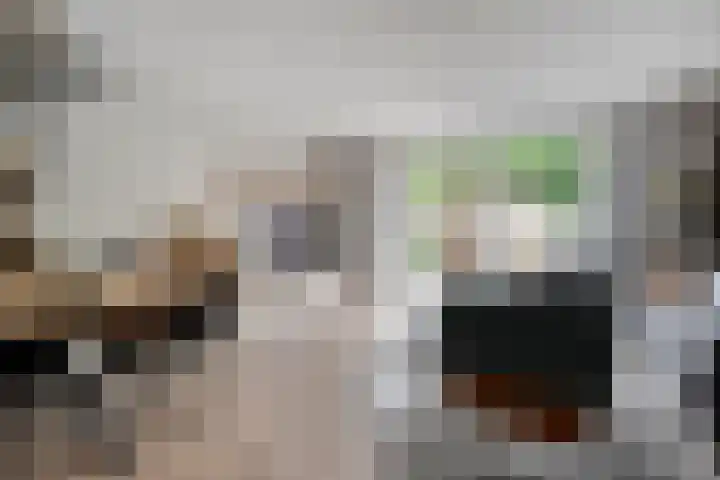 Dingshoflaan 84 Zwolle thumbnail 8