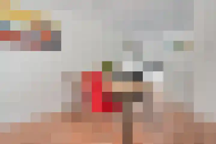 Dingshoflaan 86 Zwolle thumbnail 15