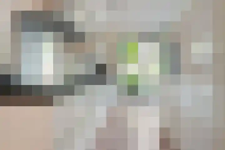 Dingshoflaan 86 Zwolle thumbnail 16