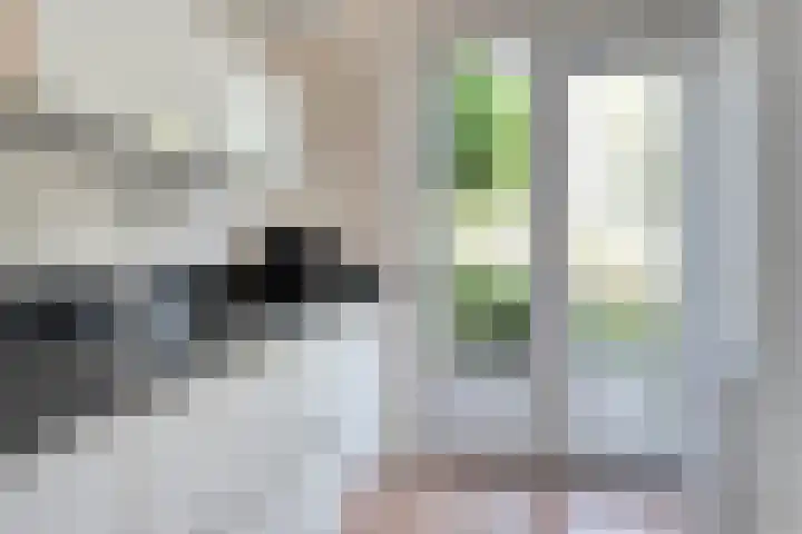 Dingshoflaan 86 Zwolle thumbnail 17
