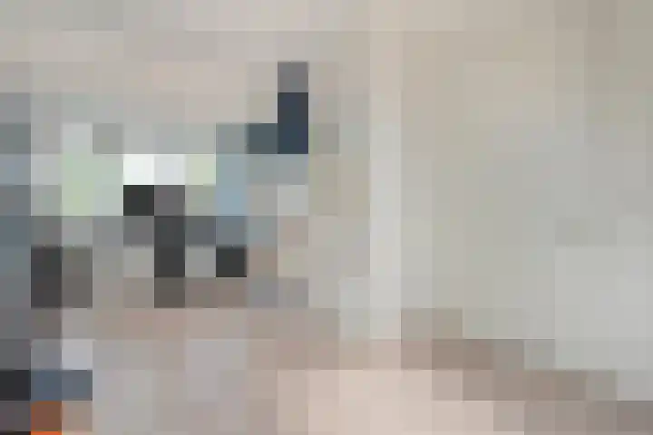 Dingshoflaan 86 Zwolle thumbnail 31