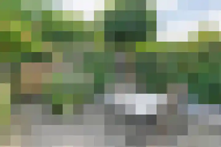 Dingshoflaan 86 Zwolle thumbnail 33