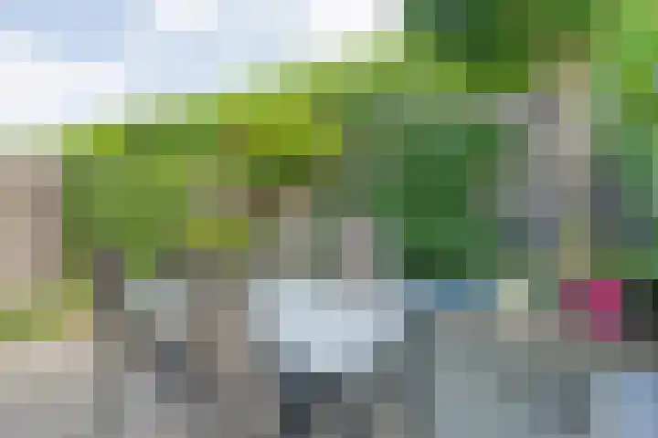 Dingshoflaan 86 Zwolle thumbnail 34