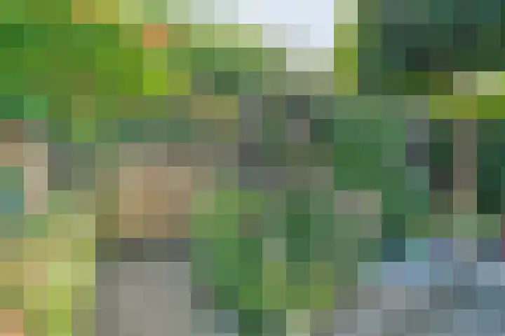 Dingshoflaan 86 Zwolle thumbnail 35