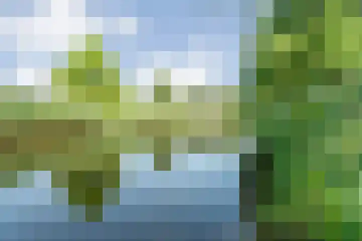 Dingshoflaan 86 Zwolle thumbnail 37