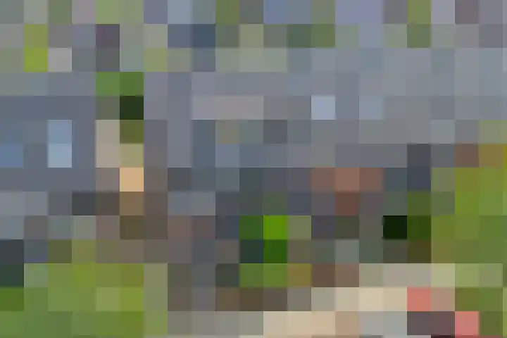 Dingshoflaan 86 Zwolle thumbnail 4