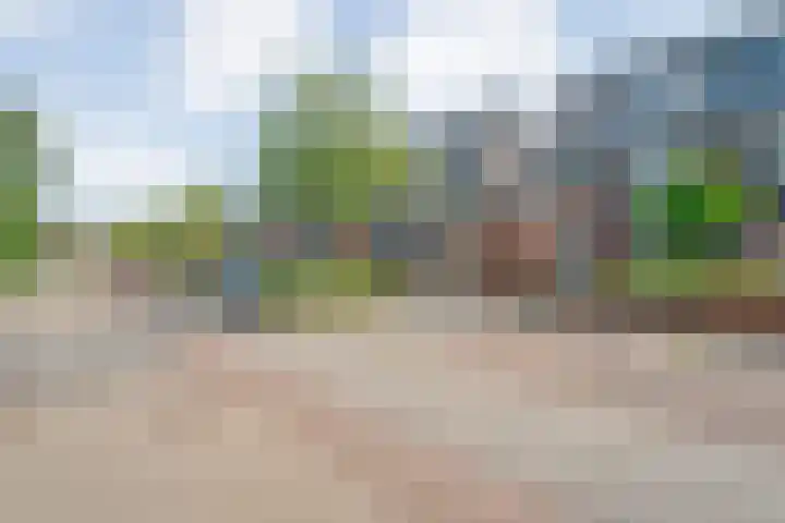 Dingshoflaan 86 Zwolle thumbnail 5