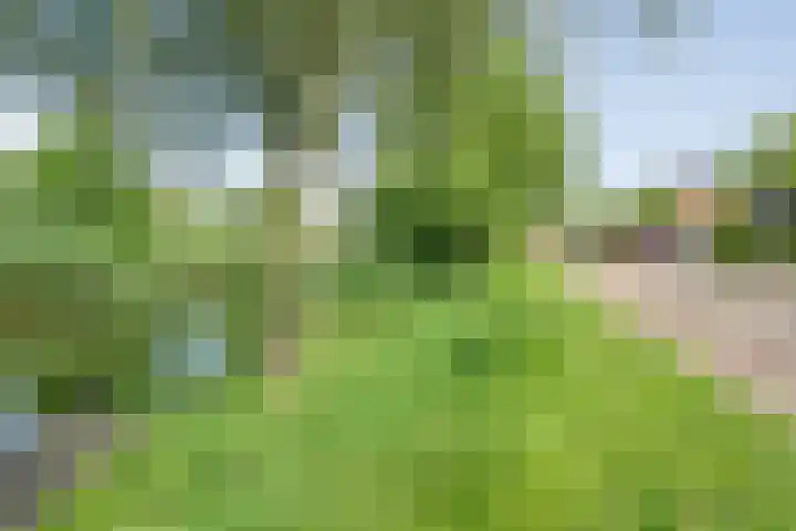 Dingshoflaan 86 Zwolle thumbnail 6