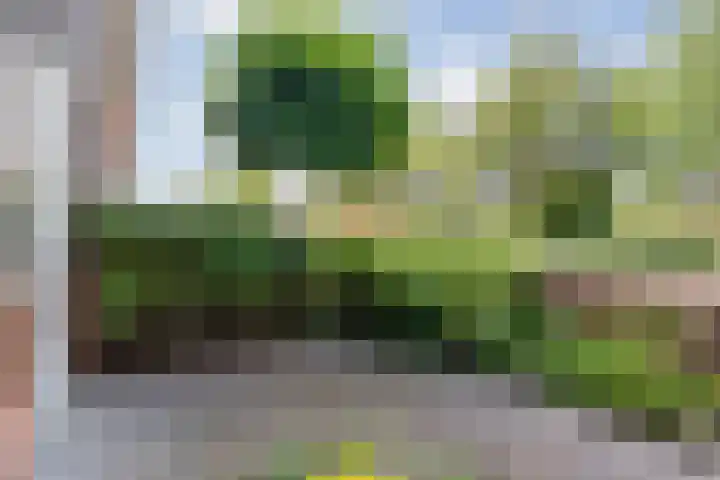 Dingshoflaan 86 Zwolle thumbnail 7