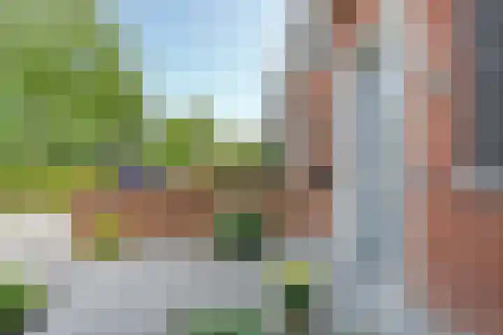 Dingshoflaan 86 Zwolle thumbnail 8