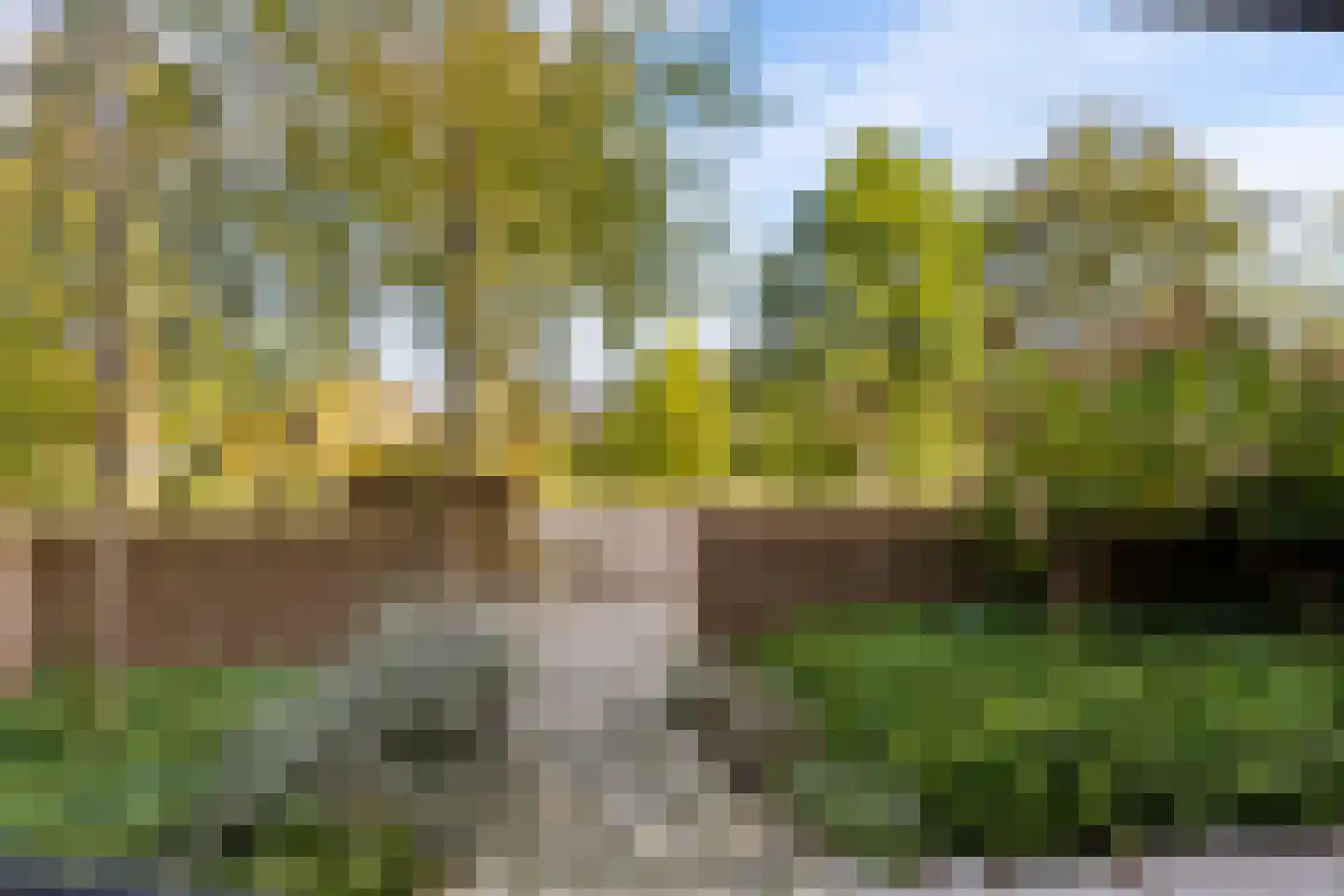 Dingshoflaan 88 Zwolle thumbnail 10