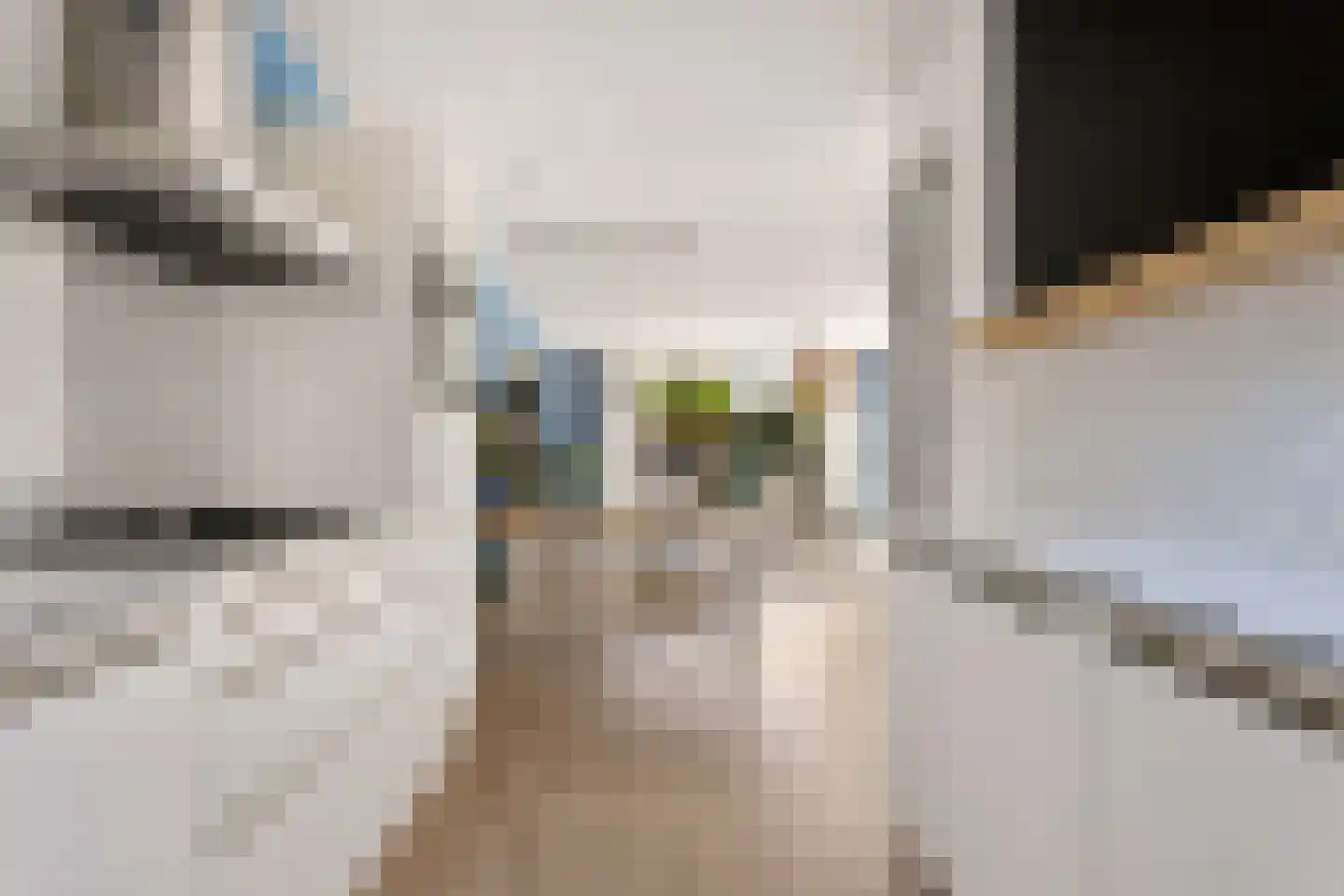 Dingshoflaan 88 Zwolle thumbnail 20