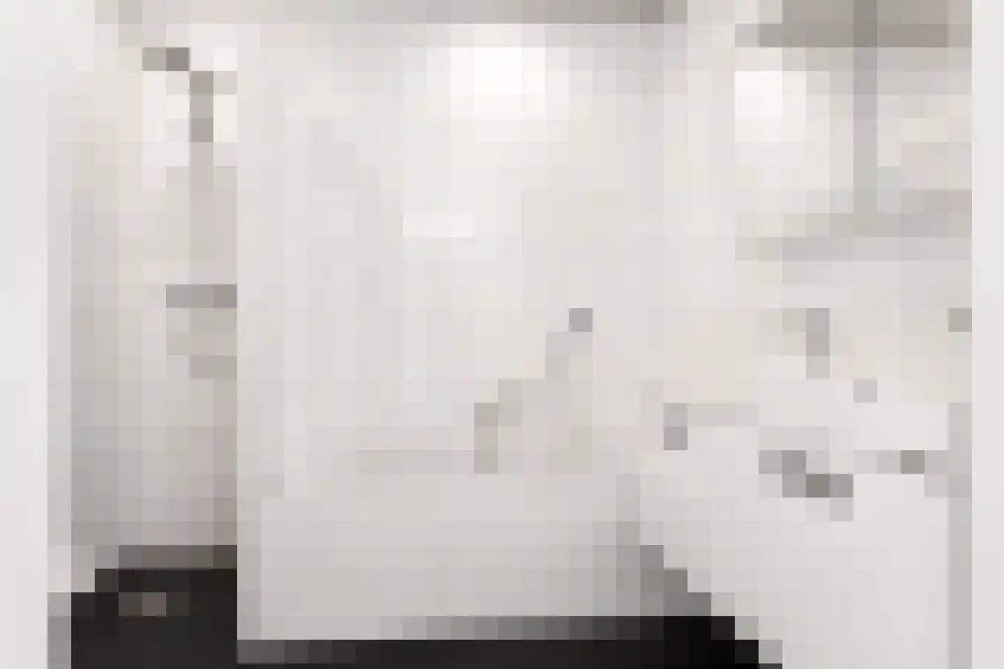 Dingshoflaan 88 Zwolle thumbnail 33