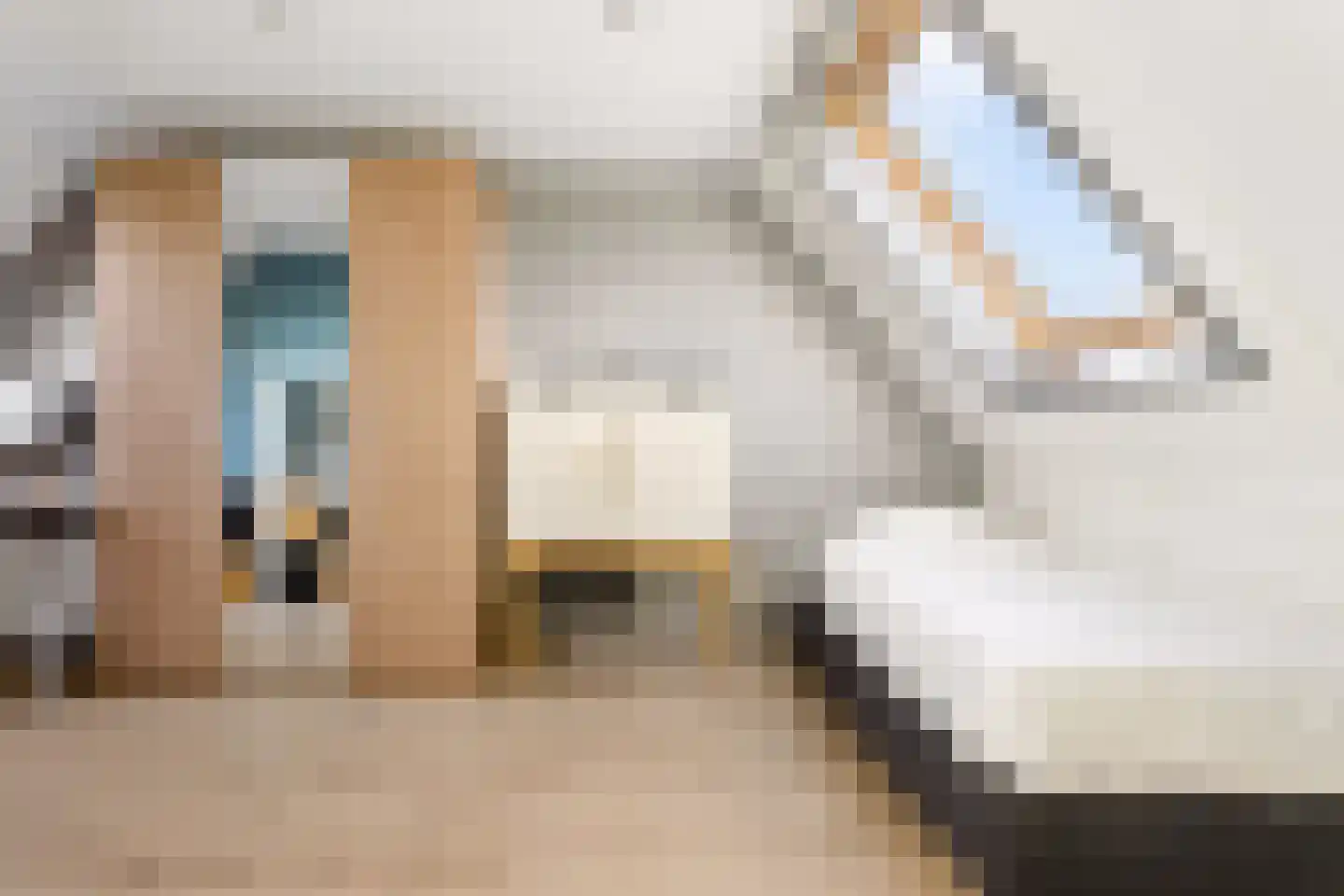 Dingshoflaan 88 Zwolle thumbnail 38