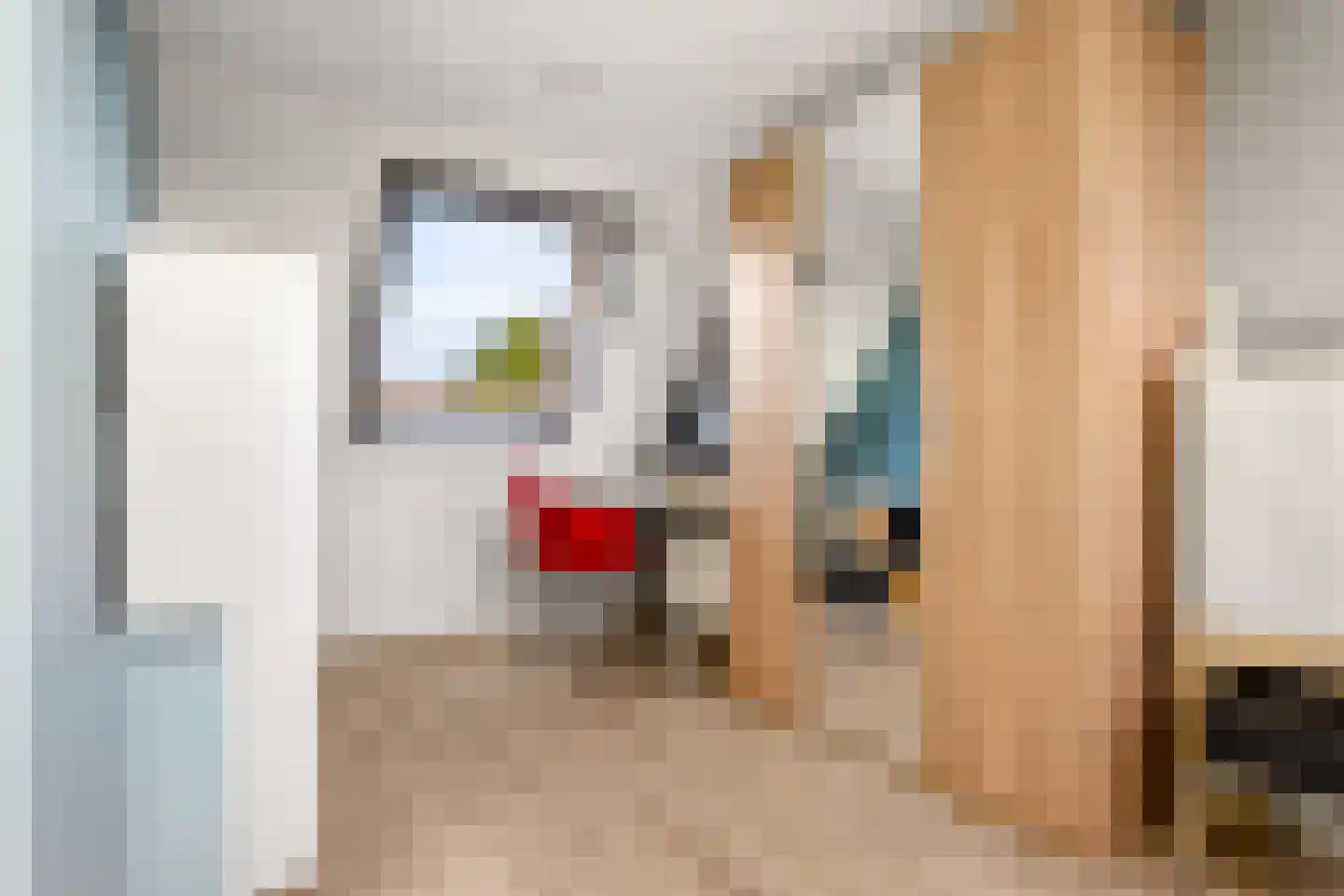 Dingshoflaan 88 Zwolle thumbnail 39