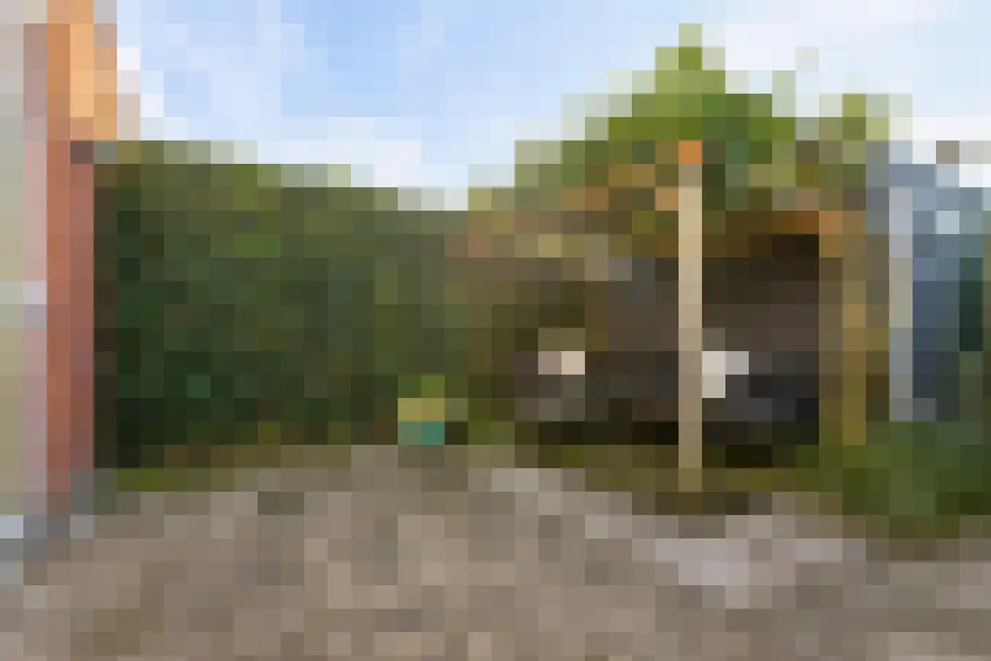 Dingshoflaan 88 Zwolle thumbnail 43