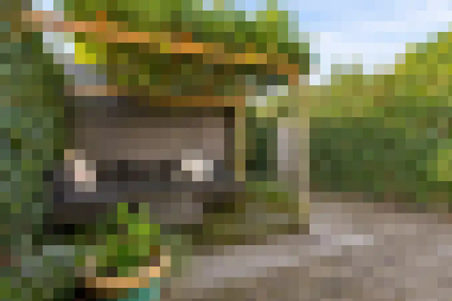 Dingshoflaan 88 Zwolle thumbnail 44