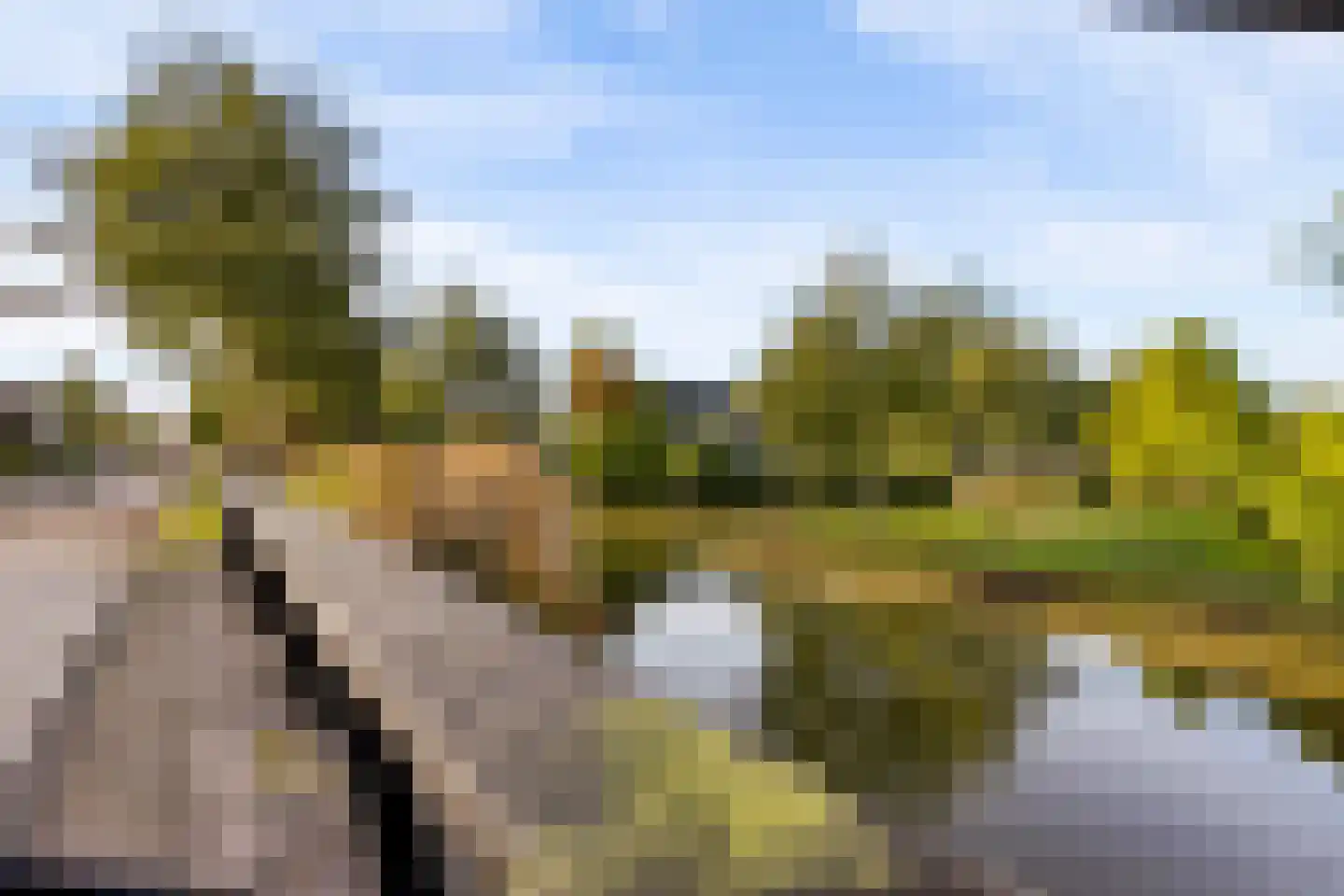 Dingshoflaan 88 Zwolle thumbnail 48
