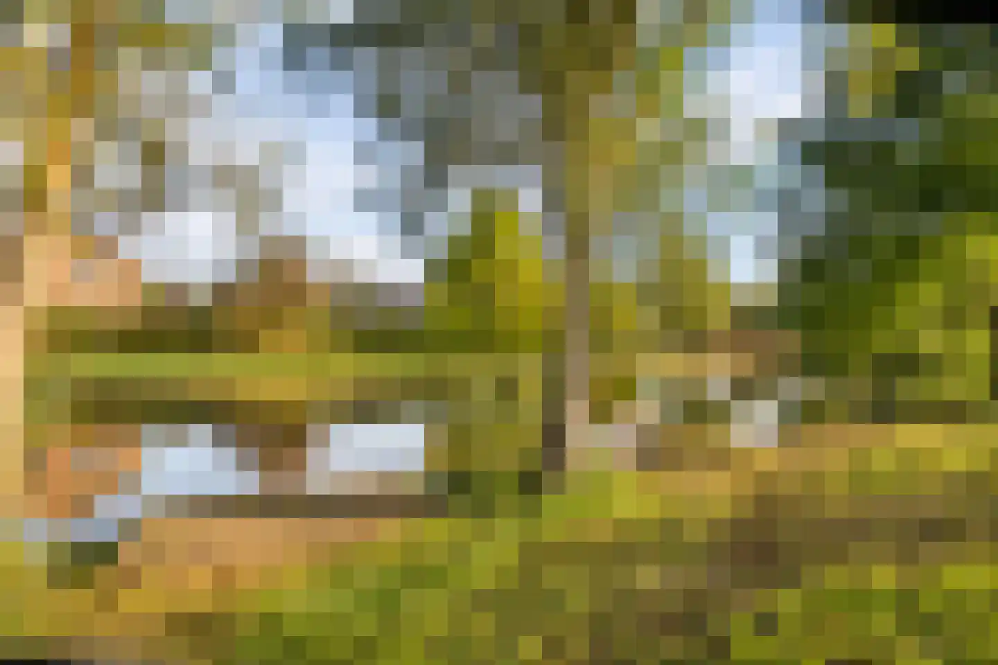Dingshoflaan 88 Zwolle thumbnail 49