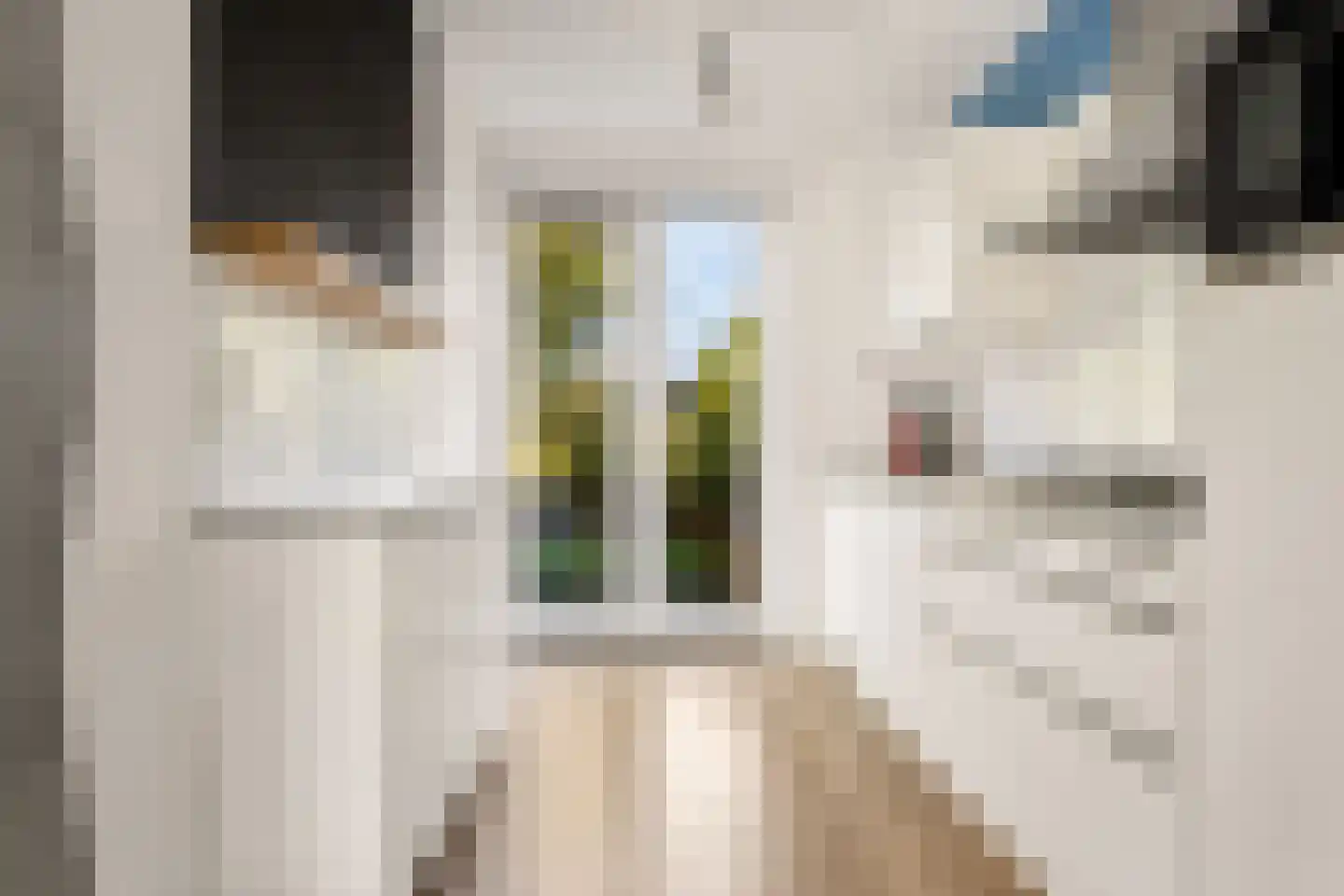 Dingshoflaan 88 Zwolle thumbnail 5
