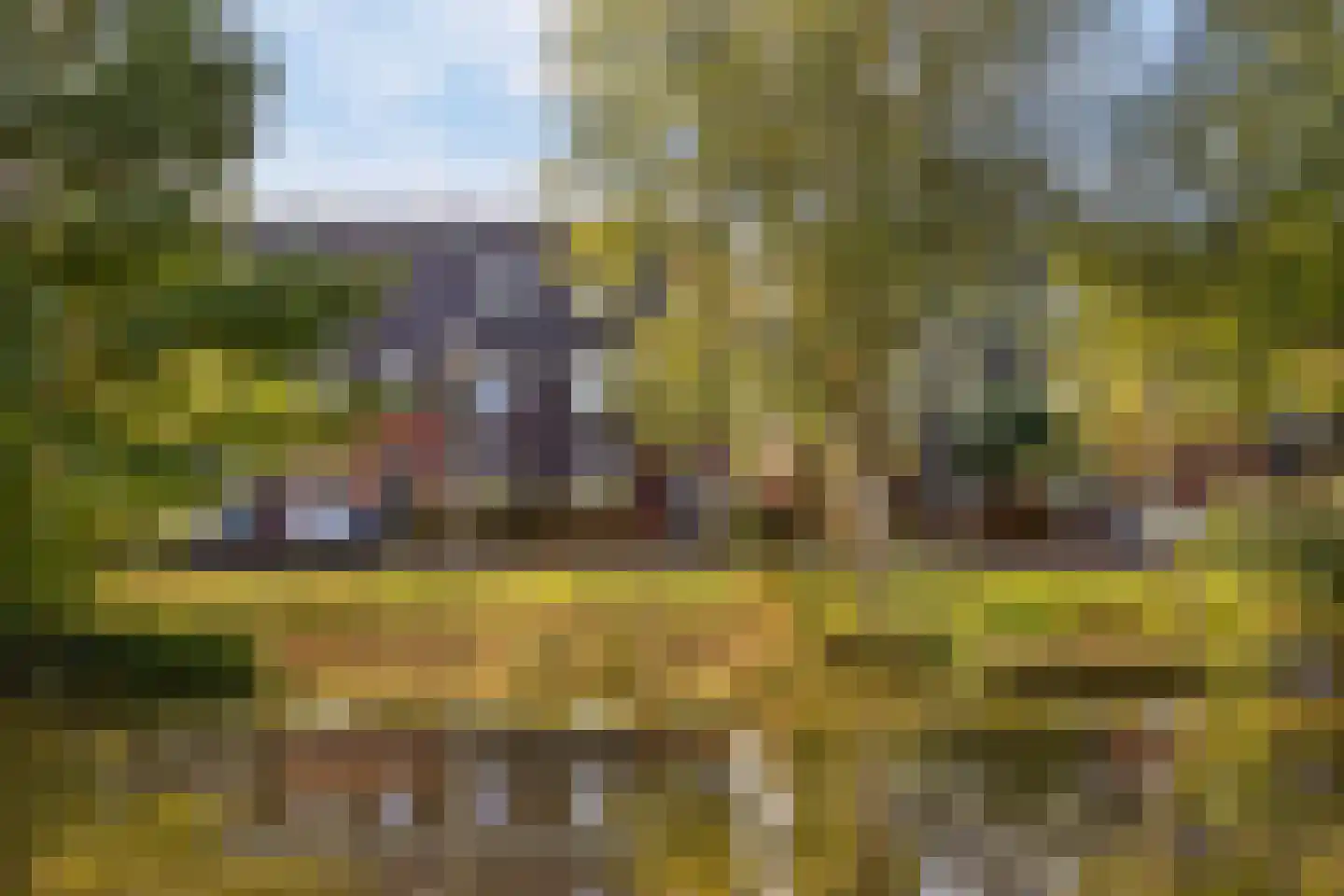 Dingshoflaan 88 Zwolle thumbnail 51