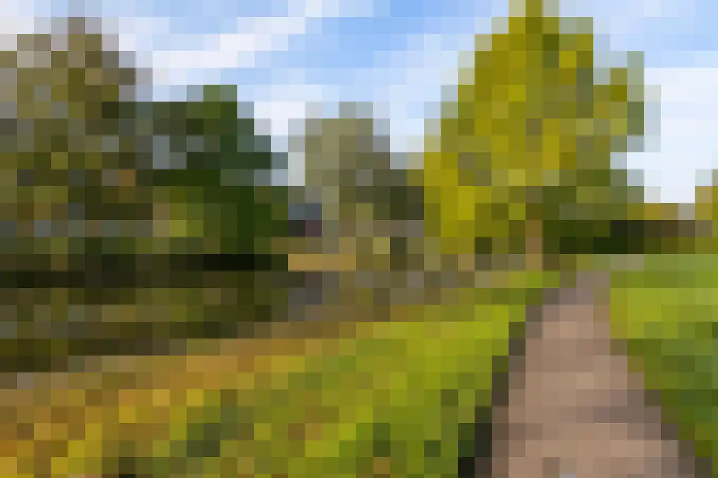 Dingshoflaan 88 Zwolle thumbnail 52