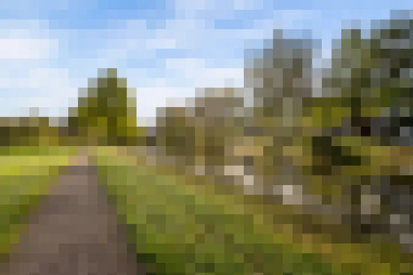 Dingshoflaan 88 Zwolle thumbnail 53