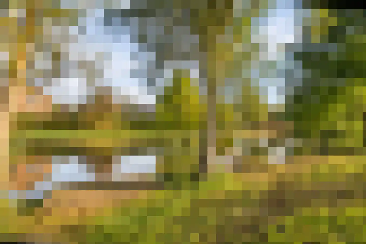 Dingshoflaan 88 Zwolle thumbnail 6