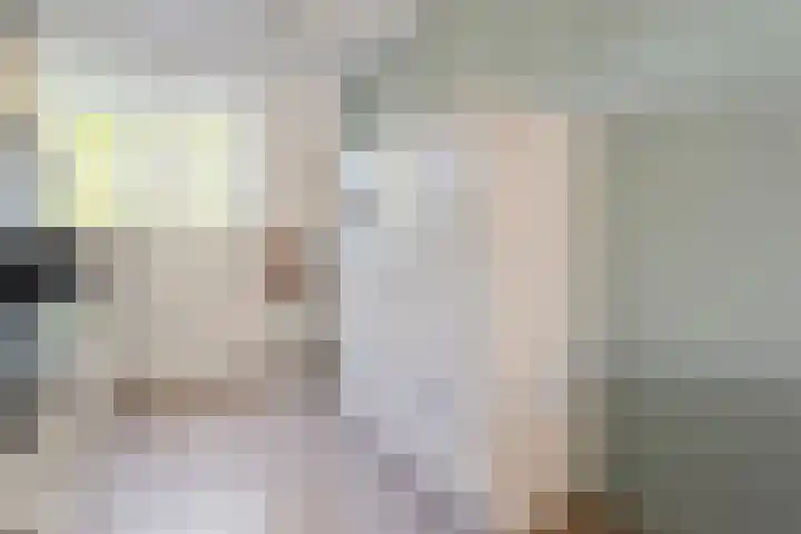 Dingshoflaan 92 Zwolle thumbnail 17