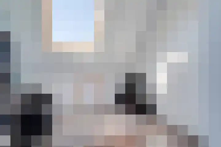Dingshoflaan 92 Zwolle thumbnail 33