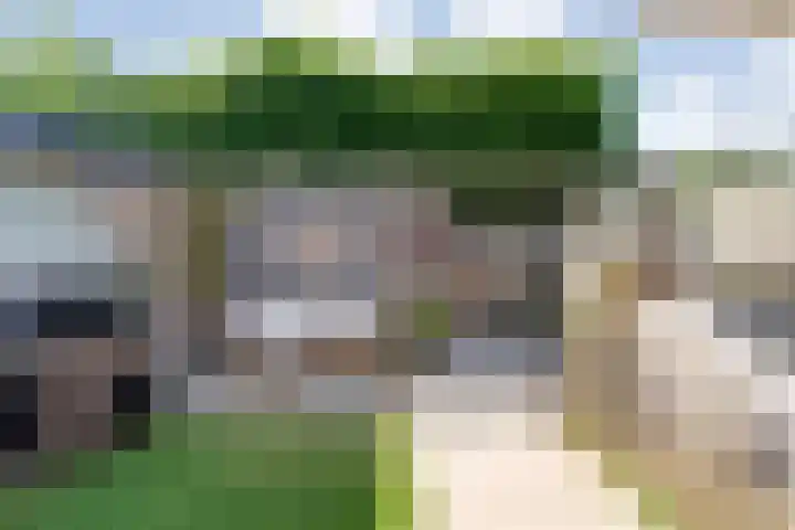 Dingshoflaan 92 Zwolle thumbnail 34