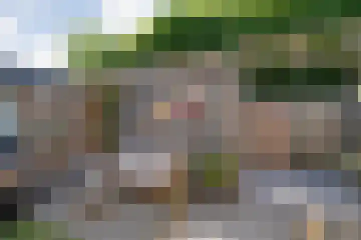 Dingshoflaan 92 Zwolle thumbnail 35
