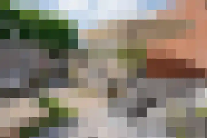 Dingshoflaan 92 Zwolle thumbnail 38