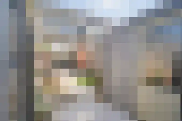 Dingshoflaan 92 Zwolle thumbnail 39
