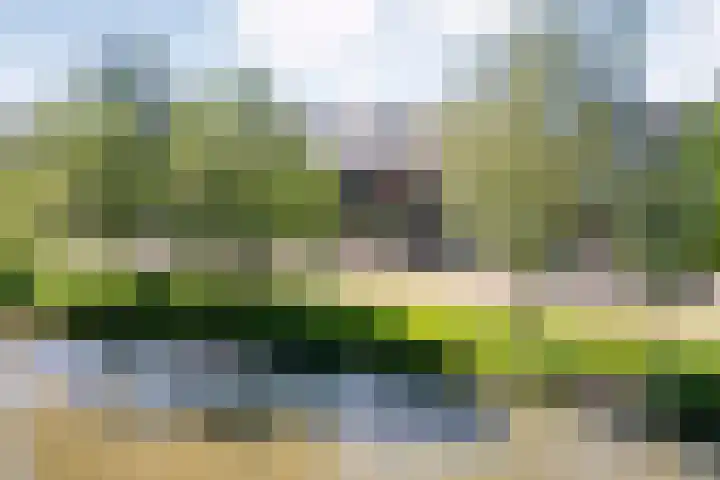 Dingshoflaan 92 Zwolle thumbnail 4