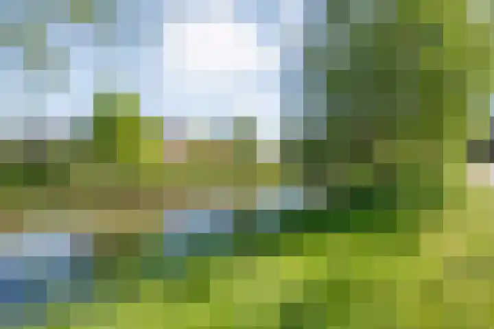 Dingshoflaan 92 Zwolle thumbnail 41