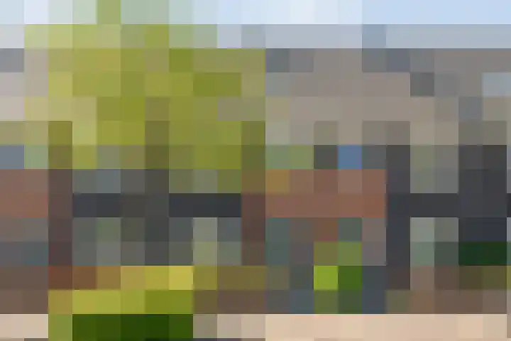 Dingshoflaan 92 Zwolle thumbnail 47