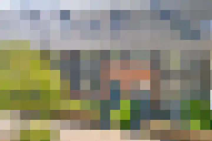 Dingshoflaan 92 Zwolle thumbnail 5
