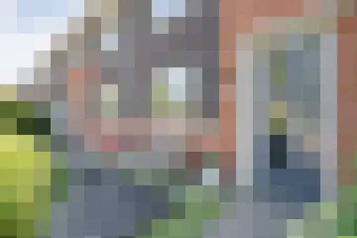 Dingshoflaan 92 Zwolle thumbnail 7