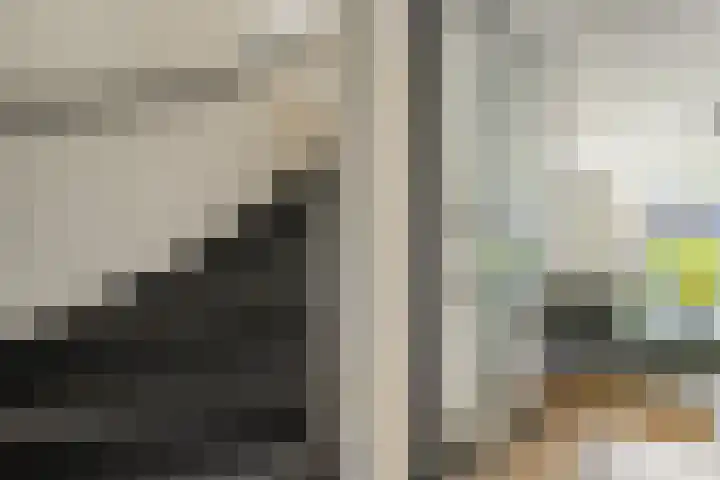 Dingshoflaan 94 Zwolle thumbnail 10