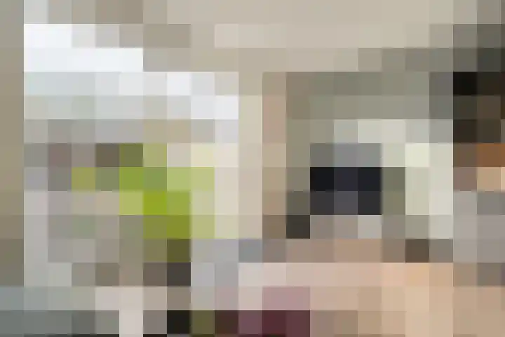 Dingshoflaan 94 Zwolle thumbnail 13