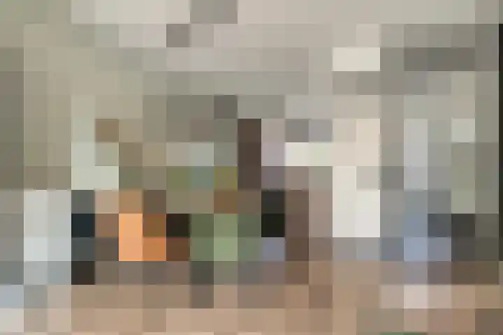 Dingshoflaan 94 Zwolle thumbnail 15