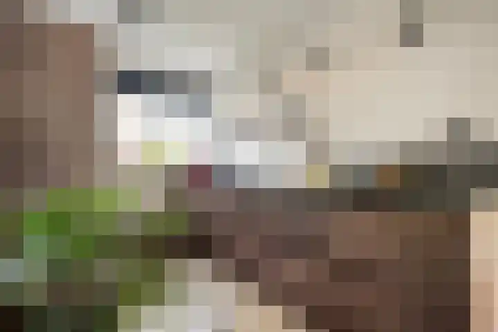 Dingshoflaan 94 Zwolle thumbnail 16