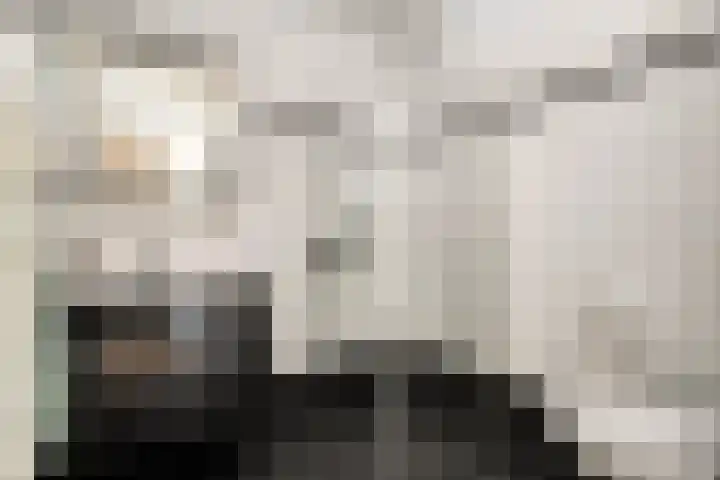 Dingshoflaan 94 Zwolle thumbnail 25