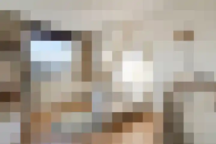 Dingshoflaan 94 Zwolle thumbnail 32