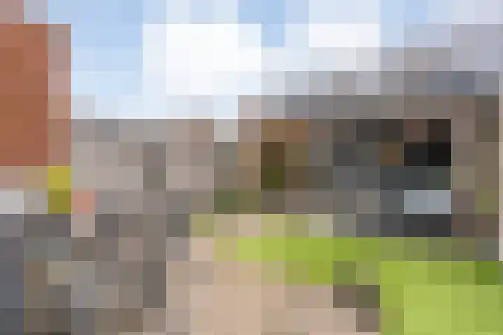 Dingshoflaan 94 Zwolle thumbnail 33