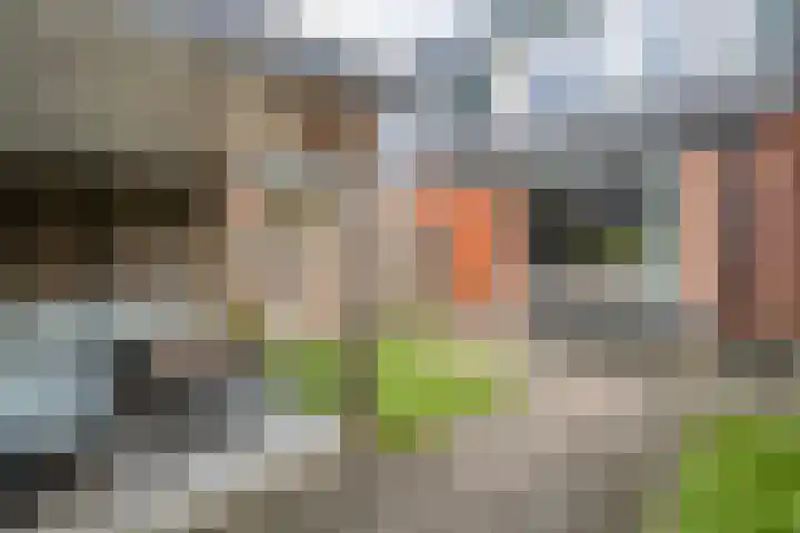 Dingshoflaan 94 Zwolle thumbnail 36